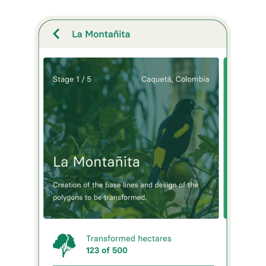 Absolute transparency