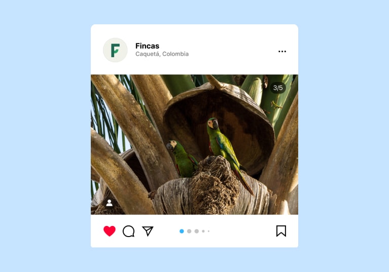 Interviews with the heroes