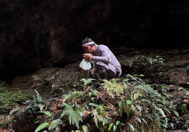 The territory and its changes