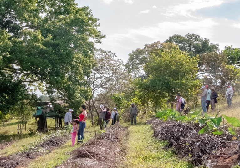 The territory and its changes