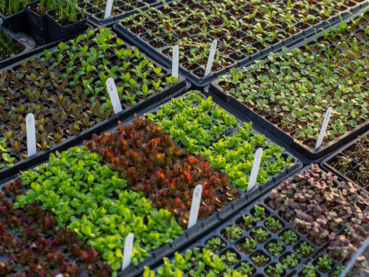 Environmental risk mitigation